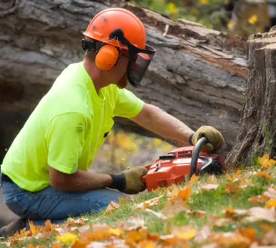 tree services Camden Point